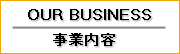 OUR BUSINESS / 事業内容